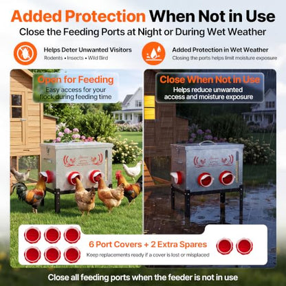 40 LB Large Automatic Chicken Feeder with Visible Feed Window