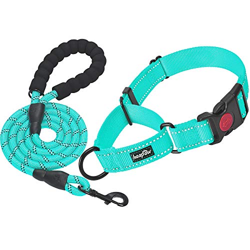 haapaw Martingale Dog Collar with Quick Release Buckle Reflective Dog Training Collars for Small Medium Large Dogs - color: Turquoise, size: M