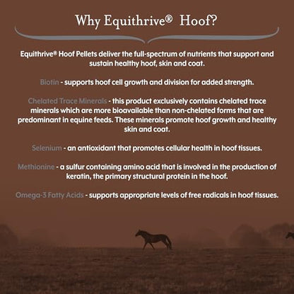 Equithrive Hoof Care Pellets Horse Supplement, 3.3 lbs - size: 3.3 lbs