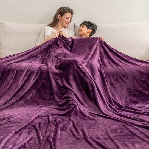 Berkshire Blanket VelvetLoft Big Oversized King Family Blanket, All Season Mid-Weight Ultra Silky and Fuzzy, Seamless Extra Large (Eggplant, 120x120 Inches) - color: Eggplant, size: Oversized King