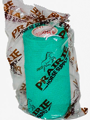 3 Inch Self Adhesive Medical Bandage Wrap Sport Tape (Light Green) (12 Pack) Strong Elastic Self Adherent Cohesive First Aid Sport Flex Rolls for Wrist Ankle Knee Sprains and Swelling