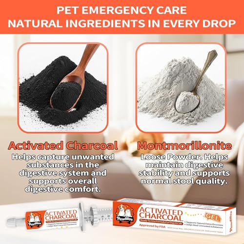 Activated Charcoal First Aid Kit -Emergency Support for Dogs, Cats & Puppies, Natural Charcoal Formula for Digestive Balance, Camping & Home Essential Oral Anti Diarrhea Digestive (60ml 1Tubes)