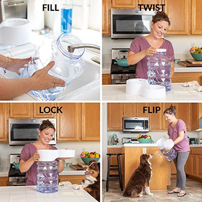 PetFusion H2O Gravity Pet Water Dispenser, 2.5 Gallon, Transparent