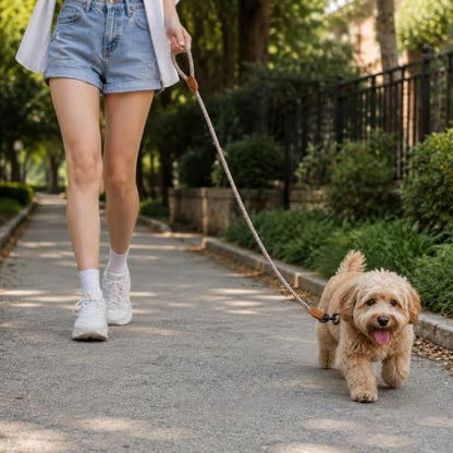 Mile High Life Dog Leash with Genuine Leather-Wrapped Ends, 4/5/6FT - color: Brown, size: 48 Inch-1/2"