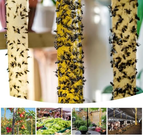 Outdoor Fly Trap Indoor Hanging 40pk, Sticky Fly Strips Tape Paper for Home - size: 40 pack