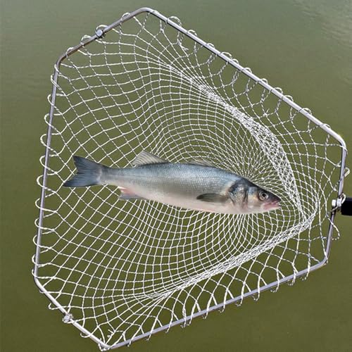 Chicken Catching Net 2 Pcs, Bird Catching Net, 32" to80 Animal Catching Net | Chicken Net Stainless Steel Poultry Catcher for Catching Small Chicken, Goose, Ducks, Fish, Birds(2 Nets, 1 Pole Included)