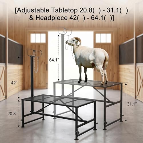 Goat Sheep Stand Roadside Stand Goat Milking Stand Halter Farm Supplies Cows Supplies Farm Outdoor Cow Accessories 47x23in Tabletop 500 lbs