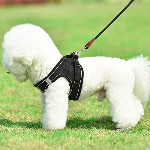 Small Dog Leash 1/4" by 6/8/10FT Lightweight Strong Rope Leash - color: black, size: 1/4" x 8'