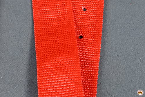 HILASON Nylon Cinch Tie Strap Off Billet Set, 36 Inch - color: Red