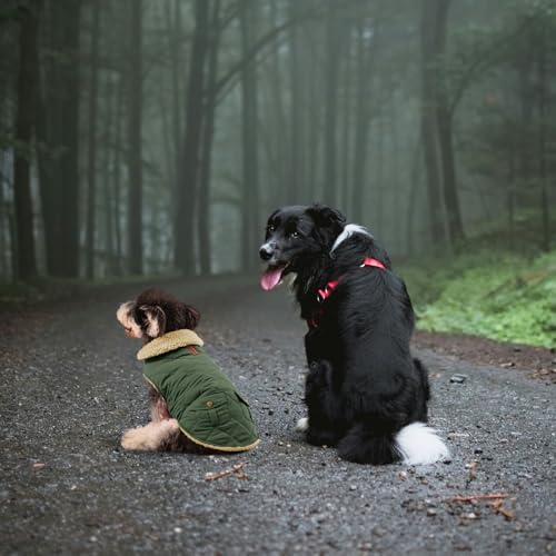 Queenmore Warm Puffer Dog Jacket Thick Plush Lining Winter Small Dog Coat - color: Brown, size: Small