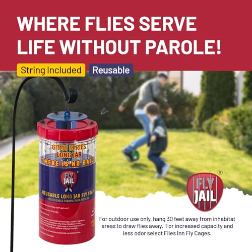 Long Jar Reusable Outdoor Fly Trap with 2 Flies Inn Attractant Baits (2 Pack, 1) - style: 2 PACK