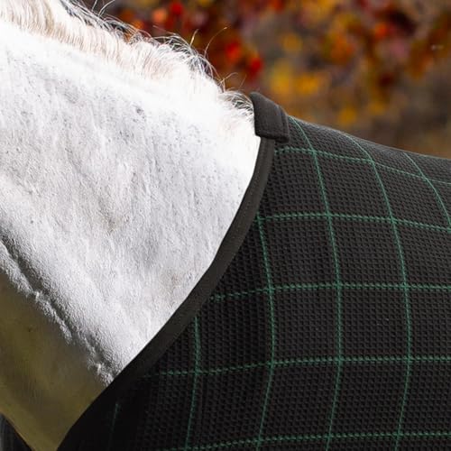 Equinavia Luftig Waffle Cooler | 100% Cotton - Black/Hunter Green - 70 in - color: Black/Hunter Green, size: 70 in