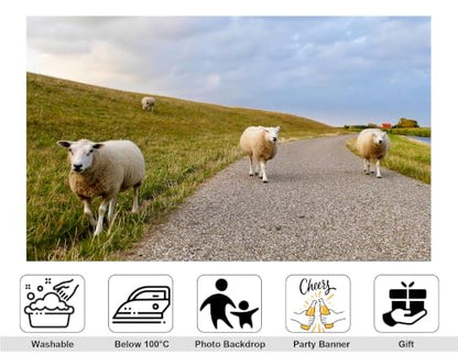 5x3ft Fabric Pasture Sheep Backdrop White Wool Sheep Gravel Path Green Grass Hill Cloudy Sky Background Tapestry Party Farm Animal Wall Decorations Photo Booth Props - size: 5x3ft