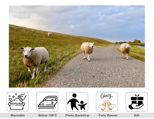 20x10ft Fabric Pasture Sheep Backdrop White Wool Sheep Gravel Path Green Grass Hill Cloudy Sky Background Tapestry Party Farm Animal Wall Decorations Photo Booth Props - size: 20x10ft
