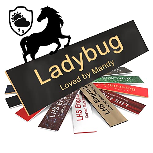 Personalized Horse Stall Name Plates, 2x6 Horse Stall Signs with Adhesive, All Weather UV Protected, Black Plastic Gold Letters - Made in USA - B3 - color: B3 - Black/Gold, size: 2in x 6in (5.1cm x 15.2cm)