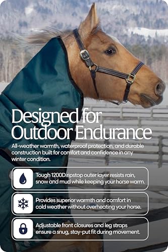Equinavia Arktis Regular Neck Heavy Turnout Blanket 300g - Deep Green - 75 in - color: Deep Green, size: 75 in