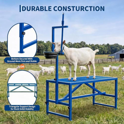 47 inch Heavy Duty 600LBS Goat Milking Stand with Feeder - color: Blue