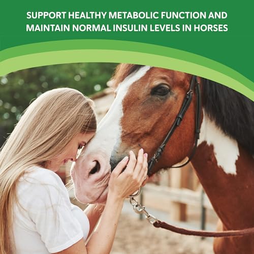 HEIRO Healthy Equine Insulin Rescue Nutritional Supplement for Horses, Natural Herbal Blend with Magnesium & Vitamin E, Supports Normal Metabolic Function & Hoof Comfort (180 Servings) - size: 180 Servings