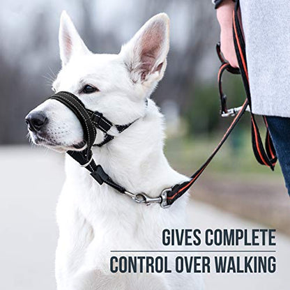 GoodBoy Dog Head Halter with Safety Strap - Stops Heavy Pulling On The Leash - Padded Headcollar for Small Medium and Large Dog Sizes - Head Collar Training Guide Included (Size 2, Black) - color: Black Nylon / Black Padding, size: Size 2 (Pack of 1)