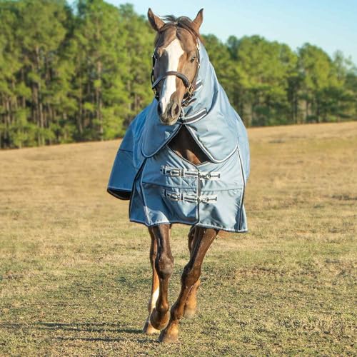 Jeffers Poplar Head Refuge 1200 Denier Turnout Blanket, Hamilton Blue, 75" – Waterproof & Breathable Horse Blanket, 240g Insulation, Adjustable Fit for Comfort & Safe Use, Durable Design - size: 75 in