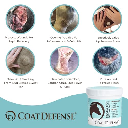 COAT DEFENSE Trouble Spot Drying Paste for Horses - Natural Equine Wound Care That Provides Safe & Effective Relief from Scratches, Sweet Itch, Summer Sores, Proud Flesh, Mud Fever, Girth Rot (10 Oz) - size: 10 Oz