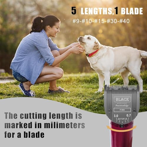 Adjustable Dog Grooming Clipper 5-in-1 Blade Compatible with WAHL Professional Animal Clipper Arco, Bravura, Chromado, Creativa, Figura, and Motion Pet, Dog, and Horse(Black) - color: Black/Pc