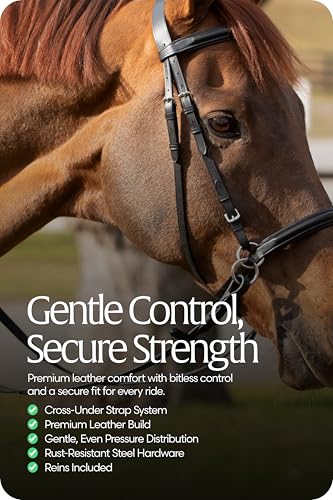 Equinavia Saga Leather Horse English Bridle, Stainless Steel Hardware Reins - color: Black, size: Warmblood