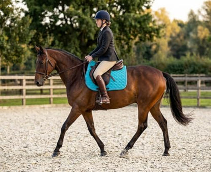 Horse English Quilted Contoured All-Purpose Trail Saddle Pad 7296 - color: Turquoise, size: 23" (Spine) x 20" (Drop)