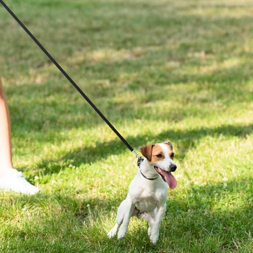 Hypeety Dog Training Leash Strong Nylon Lead for Training Walking, 3pcs - color: 3pcs