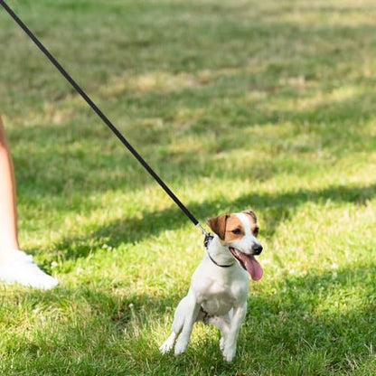 Hypeety Dog Training Leash Strong Nylon Lead for Training Walking, 3pcs - color: 3pcs