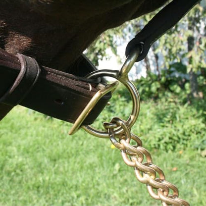 Schneiders Billy Royal 6' Havana Leather Horse Lead with 24" Brass Chain | 1" W x 6' L | Superior Horse Control | Matches Billy Royal Halters