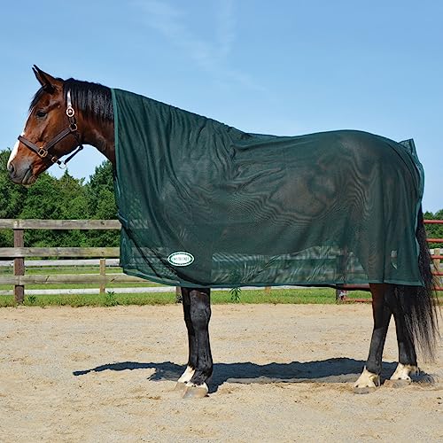 Country Pride Scrim Cooler, Lightweight Mesh Horse Blanket, Breathable Fly Protection, Post-Bath Drying Sheet, 84" x 90" Square Style (Green) - color: Green