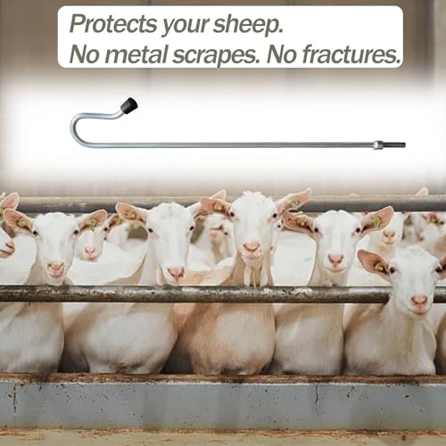 Professional Sheep Catch Hook Tool