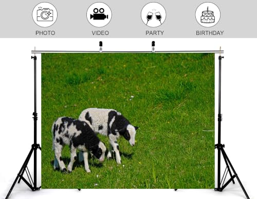 12x8ft Fabric Spotted Lamb Pair Backdrop Black White Wool Young Sheep Lush Bright Green Grass Meadow Photography Background Tapestry Party Farm Animal Decorations Photo Booth Props - size: 12x8ft