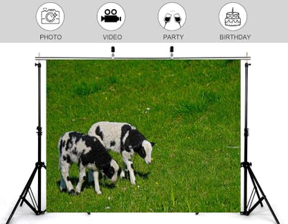 12x8ft Fabric Spotted Lamb Pair Backdrop Black White Wool Young Sheep Lush Bright Green Grass Meadow Photography Background Tapestry Party Farm Animal Decorations Photo Booth Props - size: 12x8ft