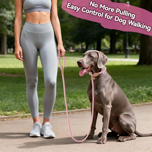 Mile High Life Heavy Duty Slip Lead No Pull Leash 6/5/4FT for Large Dogs - color: Pink, size: 5 Feet