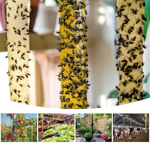 Outdoor Fly Trap Indoor Hanging 60pk, Sticky Fly Strips Tape Paper for Home - size: 60 pack