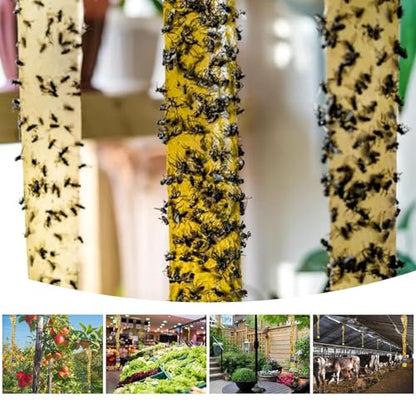 Disposable Fly Traps 6 Pack Bags Outdoor & 40 Pack Fly Traps Strips Indoor Outdoor