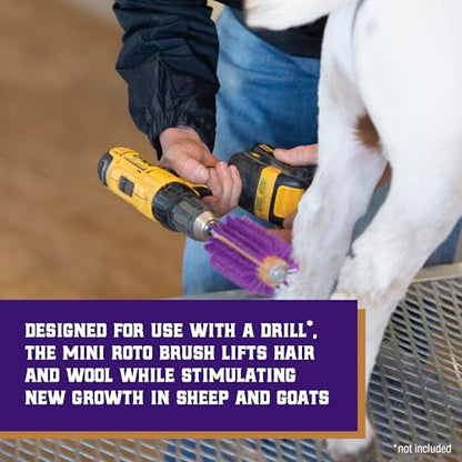 Weaver Leather Mini Roto Brush for Livestock, Wool/Hair Stimulating and Grooming Brush for Goat Sheep Cattle, Use with Drill, Coat Deshedding Tool