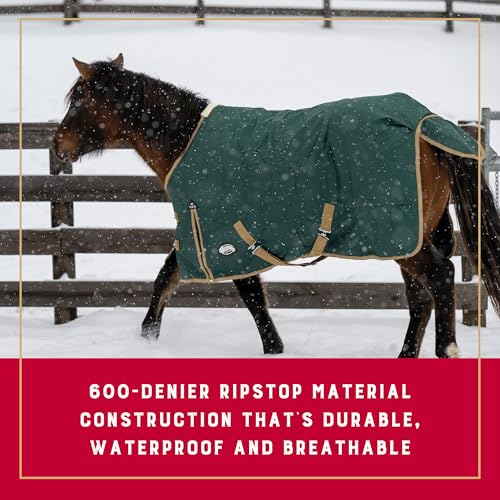 Weaver Equine Turnout Horse Rain Sheet, Waterproof Horse Turnout Sheet with Hole Mesh Lining, Multi-Purpose Protective Equestrian Gear, 75", Green - size: 75"