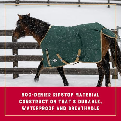 Weaver Equine Turnout Horse Rain Sheet, Waterproof Horse Turnout Sheet with Hole Mesh Lining, Multi-Purpose Protective Equestrian Gear, 75", Green - size: 75"