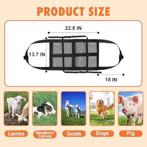 Calf Sling for Weighing, Goat Harness with Adjustable Straps