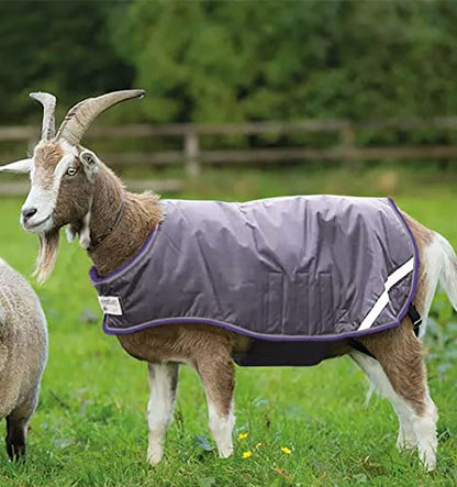 Horseware® Goat Rug - Excalibur/Silver & Strong Blue & Black, S - color: Excalibur/Silver & Strong Blue & Black, size: Small