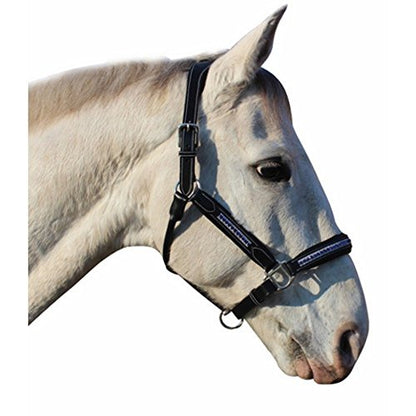 Henri de Rivel Replacement Throat Latch for Mono Crown Bridles - color: Black w/ Royal Crystal, size: Oversize