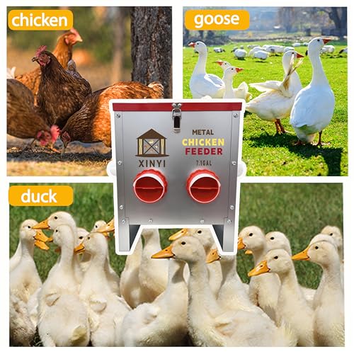 XINYI 7.1 Gallon Auto Chicken Feeder, 6 Ports Galvanized Chicken Feeder,Large Chicken Food Container No Waste & Rodent Proof Chicken Food Dispenser System, Weatherproof Duck Feeder - size: 6 ports without legs
