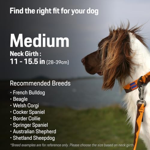 Charlie’s Backyard Teton Dog Collar, Urban to Trail Lightweight & Adjustable with Quick Release DURAFLEX Buckle, Durable D-Ring & All-Day Comfort, Sierra Dream, Medium - color: Sierra Dream, size: Medium
