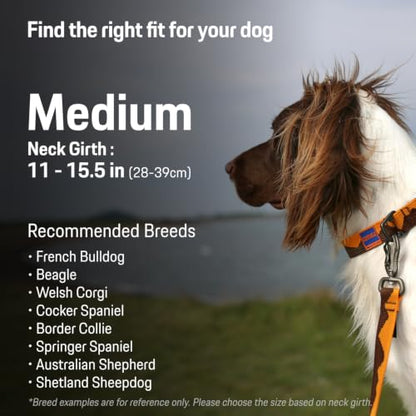 Charlie’s Backyard Teton Dog Collar, Urban to Trail Lightweight & Adjustable with Quick Release DURAFLEX Buckle, Durable D-Ring & All-Day Comfort, Sierra Dream, Medium - color: Sierra Dream, size: Medium