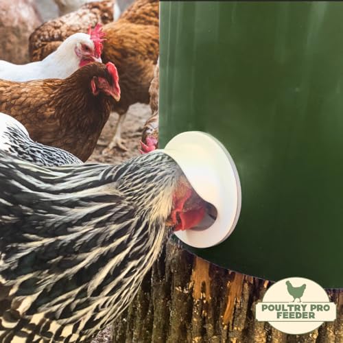 Poultry Pro DIY Chicken Feeder Kit, Poultry Feed, Weatherproof, 1 Port - style: Original Feeder 1 Pack