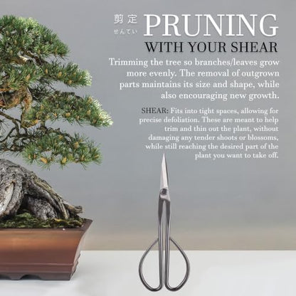 BambooMN 8" Silver Bonsai Trimming Shear - 1 Unit - color: 8" Silver Trimming Shear, size: 1
