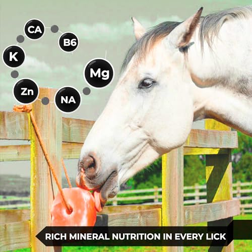 Himalayan Pink Salt Licks for Animals – Natural Salt Block with Rope for Horses, Cows, Deer & More – No Harmful Elements - Approximately 9 lbs (Pack of 2)